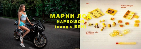 индика Покров