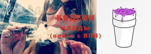 молекула духа Покачи