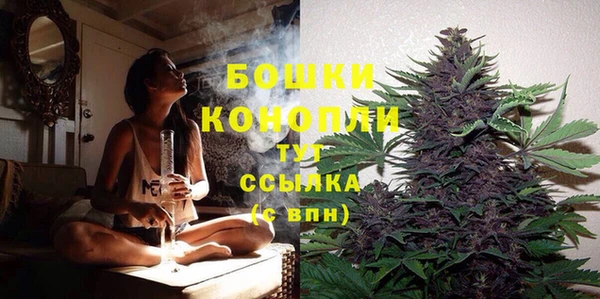 молекула духа Покачи