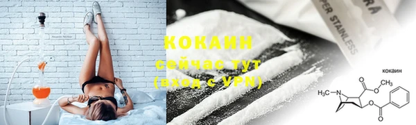 индика Покров