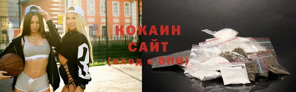 молекула духа Покачи