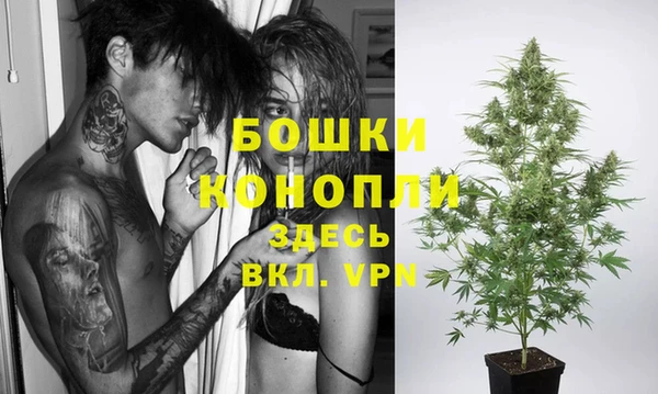 индика Покров