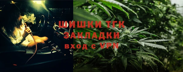 молекула духа Покачи