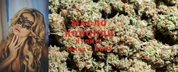 индика Покров
