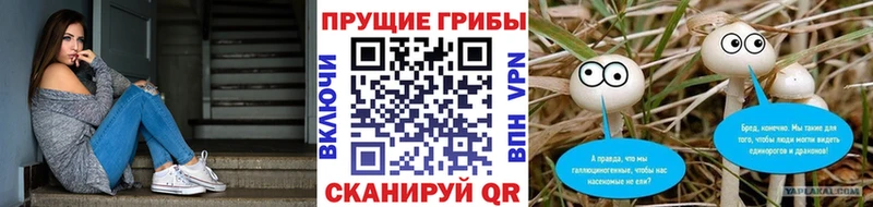 Псилоцибиновые грибы мицелий  Рыльск 